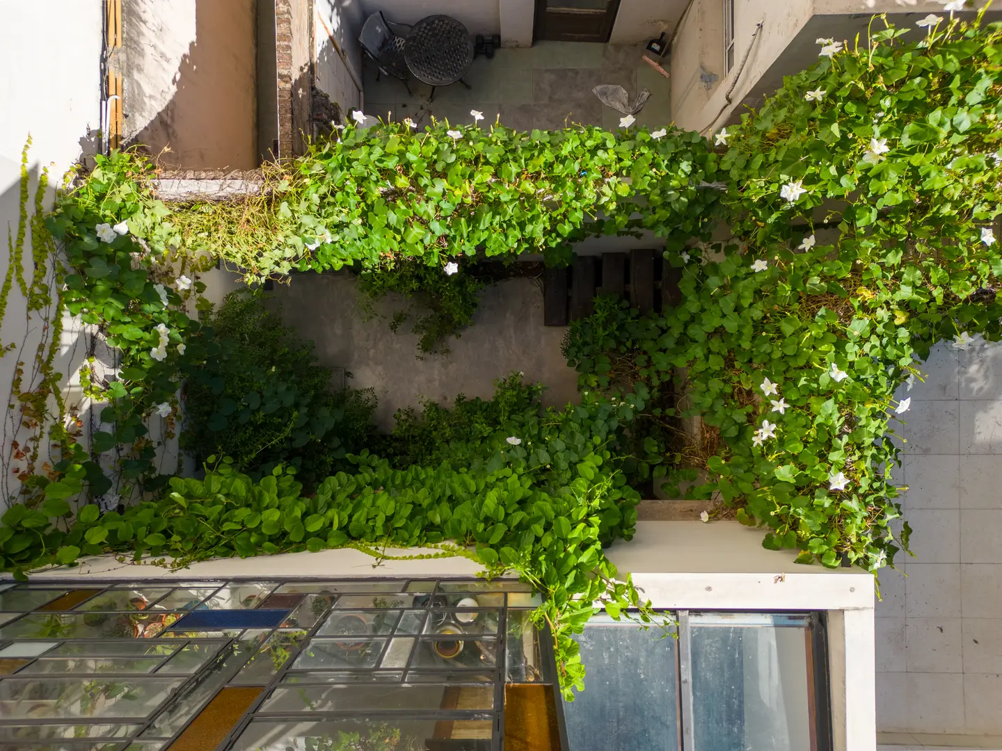 Imagen de la obra PH SARMIENTO